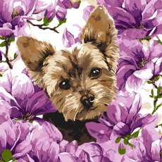 Картина по номерам Йорк в магнолии, Идейка (40х40 см)