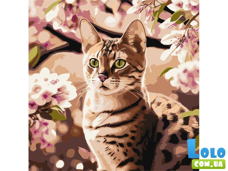 Картина по номерам Котенок в саду, Идейка (40х40 см)