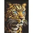 Алмазная мозаика Взгляд ягуара, (30х40 см)