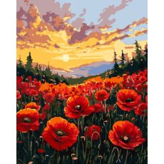 Картина по номерам Поле маков, Идейка (40х50 см)
