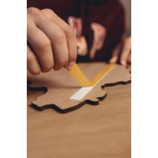Деревянный пазл Карта Украины настенная двухслойная, PuzzleOK, 43 эл.
