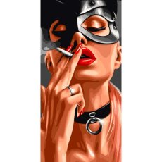 Картина по номерам Игривая кошка, Art Craft (40х80 см)