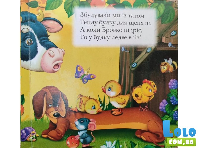 Книга Посети ферму Очаровательные окошки, Манго-book