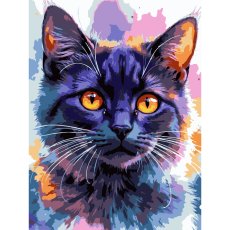 Картина по номерам Звездный кот, Strateg (30х40 см)
