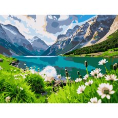 Картина по номерам Альпийская долина, Strateg (30х40 см)