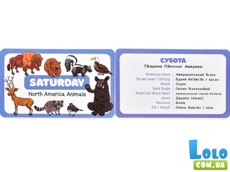 Развивающая игра Английский алфавит, Strateg