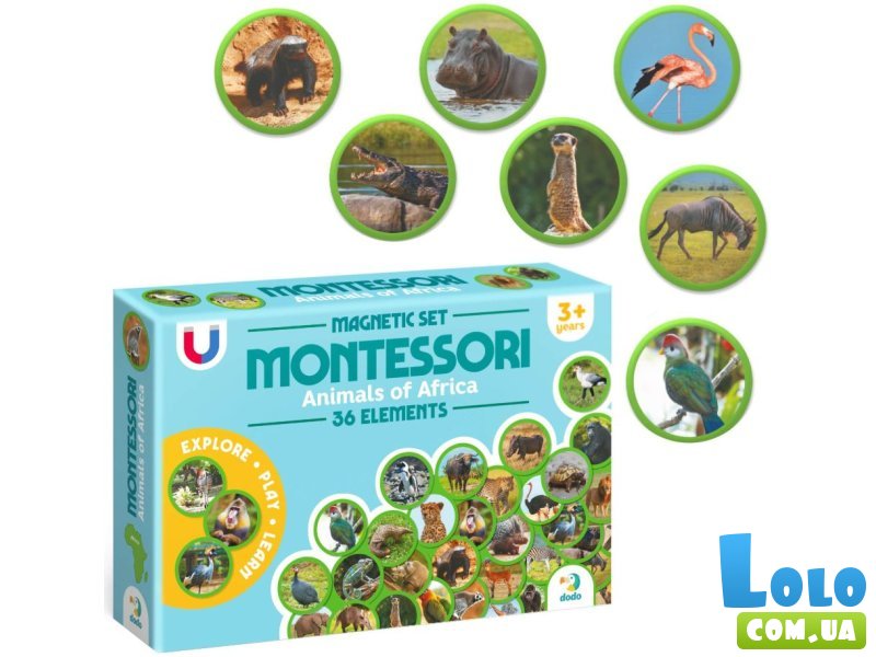 Набор магнитов Монтессори Животные на континентах Африка, DoDo
