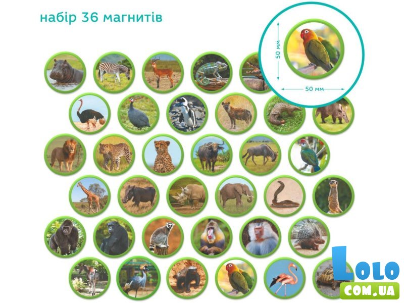 Набор магнитов Монтессори Животные на континентах Африка, DoDo