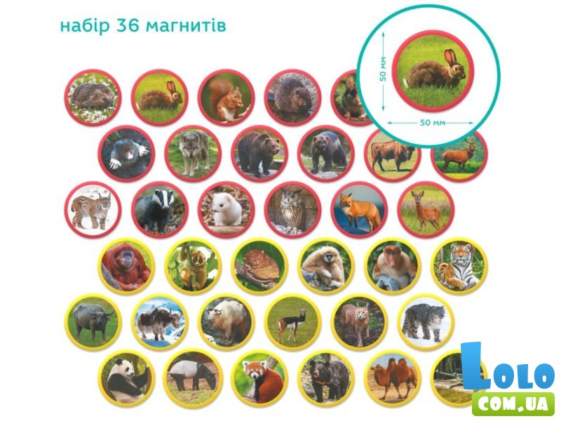 Набор магнитов Монтессори Животные на континентах Евразия, DoDo