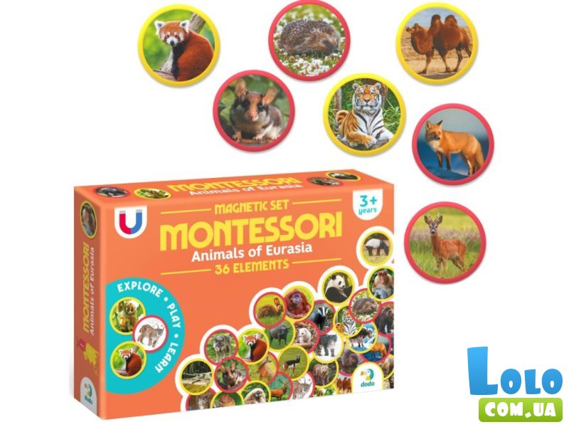 Набор магнитов Монтессори Животные на континентах Евразия, DoDo