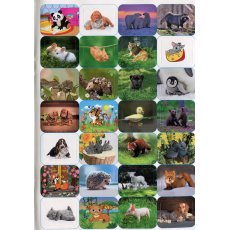 Книга 100% наклеек Пушистики и ушастики, Глорія