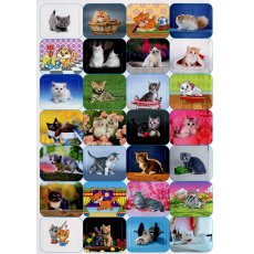 Книга 100% наклеек Кошки и котята, Глорія