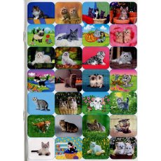 Книга 100% наклеек Кошки и котята, Глорія