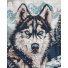 Алмазная мозаика Глаза севера, Идейка (40х50 см)
