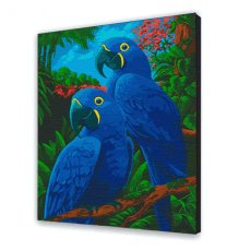 Картина по номерам Гиацинтовые ары, Art Craft (30х40 см)