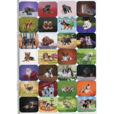Книга 100% наклеек Песики и щенки, Глорія