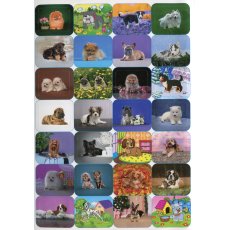 Книга 100% наклеек Песики и щенки, Глорія
