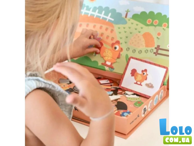 Магнитный набор Ферма, Tooky Toy