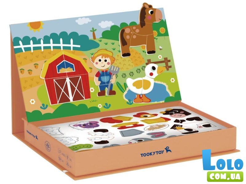 Магнитный набор Ферма, Tooky Toy
