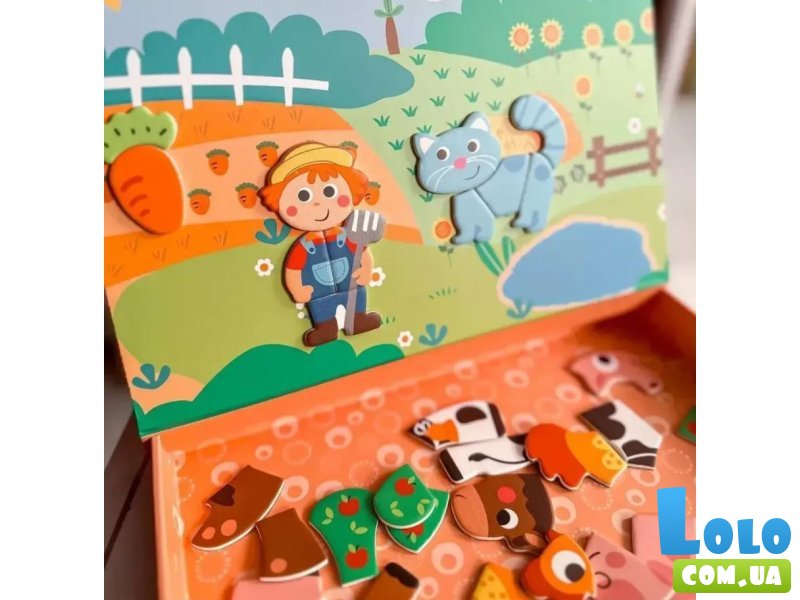 Магнитный набор Ферма, Tooky Toy
