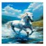 Алмазная мозаика Белая лошадь, (30х40 см)