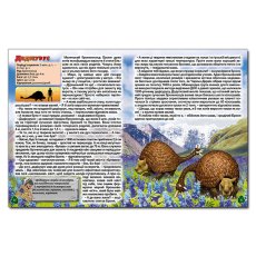 Книга Доисторические животные в сказках и рассказах, Глорія
