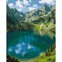 Картина по номерам Морской глаз, Brushme (40х50 см)