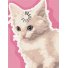 Картина по номерам Мыслящий кот, Brushme (30х40 см)