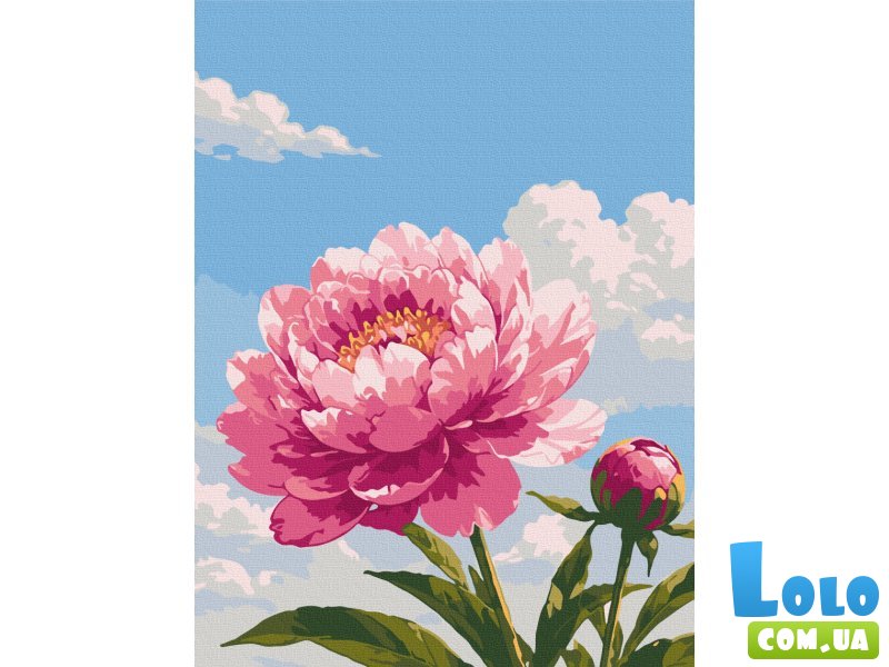 Картина по номерам Нежность пиона, Brushme (30х40 см)