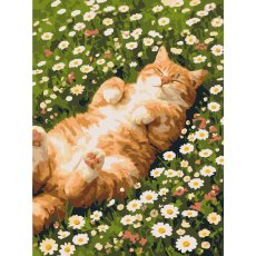 Картина по номерам Кот в ромашках, Brushme (30х40 см)