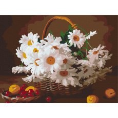 Картина по номерам Дикие ромашки, Brushme (30х40 см)