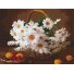 Картина по номерам Дикие ромашки, Brushme (30х40 см)