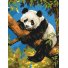 Картина по номерам Ленивая панда, Brushme (30х40 см)
