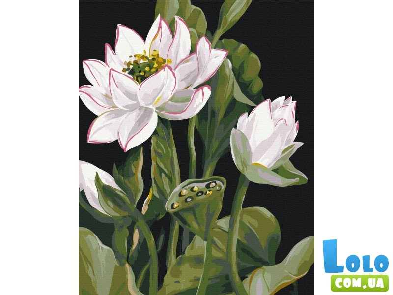 Картина по номерам Расцвет вдохновения 2 ©LUNATART, Brushme (40х50 см)