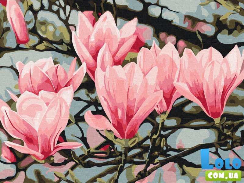 Картина по номерам Цветок магнолии ©Анастасия Осмоловская, Brushme (30х40 см)