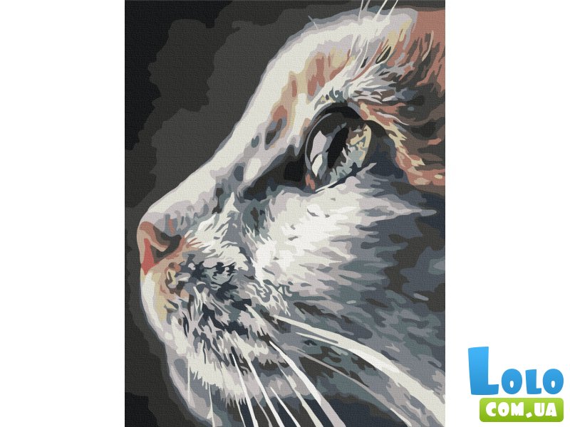 Картина по номерам Профиль кошки, Brushme (30х40 см)