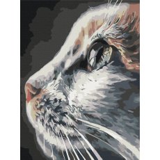 Картина по номерам Профиль кошки, Brushme (30х40 см)