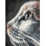 Картина по номерам Профиль кошки, Brushme (30х40 см)