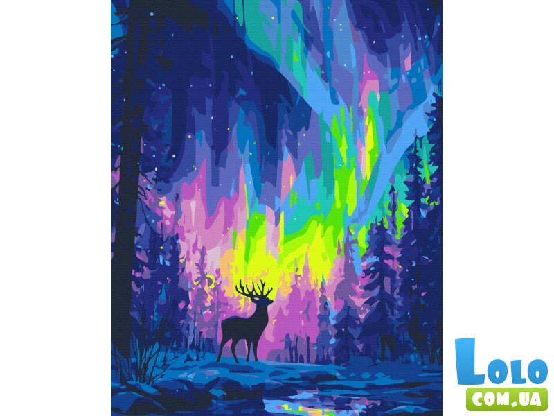 Картина по номерам Полярное сияние, Brushme (40х50 см)