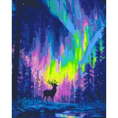 Картина по номерам Полярное сияние, Brushme (40х50 см)