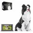 Конструктор Колли Pet Dog, J-AREA (DMG004), 3075 дет.