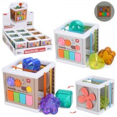 Развивающая игрушка Бизикуб (в ассортименте)