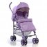Прогулочная коляска Geoby D388W-F-R4ZW (фиолетовая)