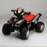 Электромобиль Baby Tilly "Квадроцикл" HZL-D068 Black (черный)