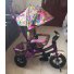 Велосипед трехколесный Baby Tilly Trike T-351-6 (розовый)