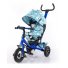 Велосипед трехколесный Baby Tilly Trike T-351-9 (синий)