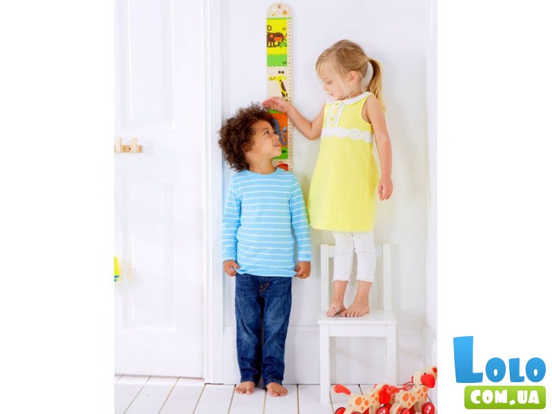 Линейка для измерения роста HAPE