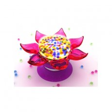 Orbeez flower power light sales show