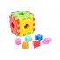 Игрушка развивающая "Волшебный куб" (12 элементов) Тигрес