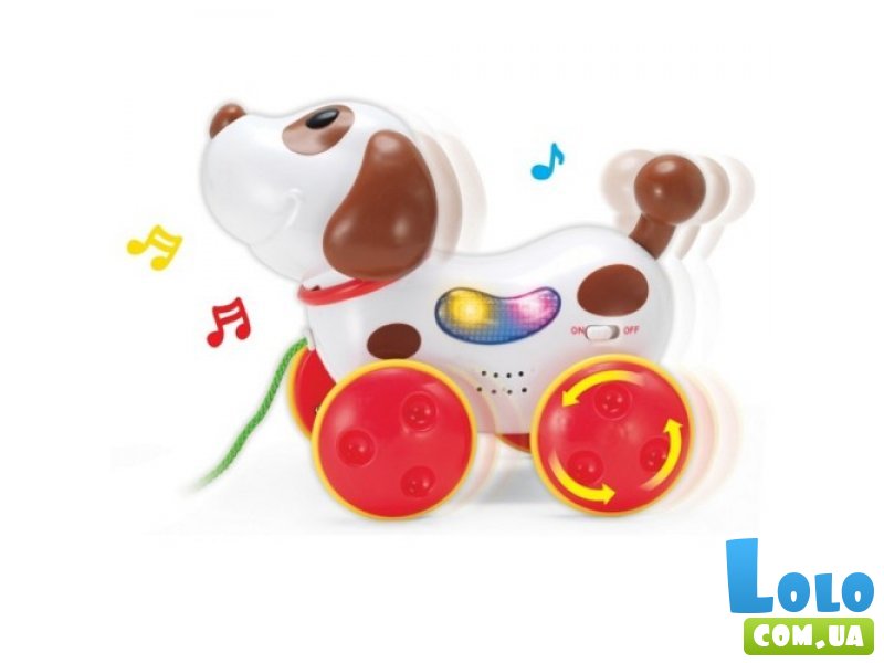 Развивающая игрушка Keenway "Музыкальная собачка" (31536)